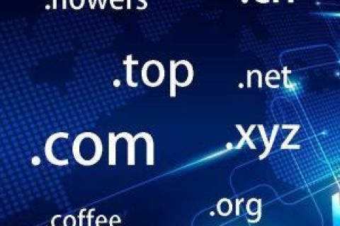 拉薩網(wǎng)站建設(shè)常見問題之什么是域名？如何購買和選購域名？