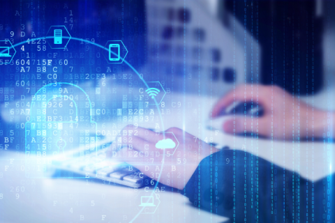 拉薩網(wǎng)站優(yōu)化：在網(wǎng)站優(yōu)化中有哪些因素會對關(guān)鍵詞排名不利？